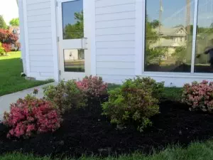 Azalea Garden in memory of Ed Blackman (near north Sanctuary door)