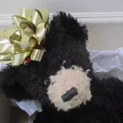 God is Good (8/24/14)