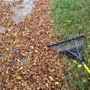 Fall Activities Getting Ready to Resume