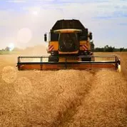 Pastor’s Ponderings: Called to Dive into the Corn Field!