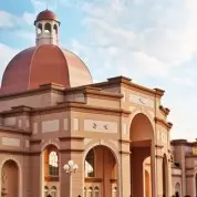 Elderberries to Let Their Hair Down! (10/19/16)