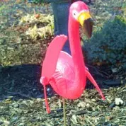 BLAST Sends a Response to Trinity UMC’s Food Challenge (5/3/15)