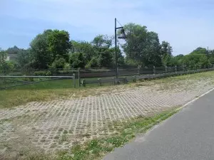 Shed Project- Location _IMG_2142