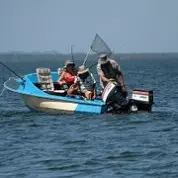 The Answer is “Yes!”… not “Yeah, but…” (5/31/15)