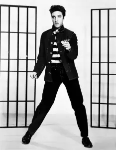 Jailhouse Rock _elvis-presley-393854_640