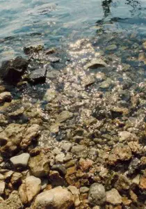 Galilee Stones _48-6_400x570