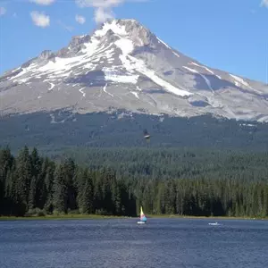 Alaska ArtShal_300x300