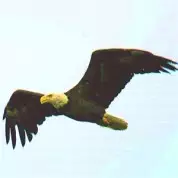 The Supremacy of Christ- Part 2 (10/4/15)