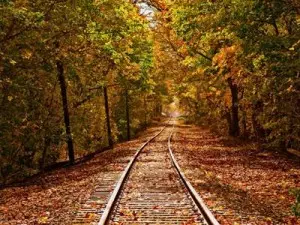 TrainTracksWestJerseyAve- Leaves _JMaz_400x300