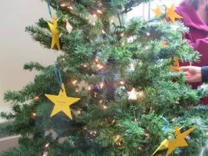 Christmas Star Tree 2015-11-29 _IMG_2691