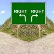 A Zoad, a Fork, and a Choice (5/22/16)