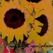 Life After the Born-Again Birth (6/5/16)