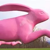 Chasing Fake Rabbits (6/12/16)