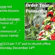 Poinsettias Point to Families (Order by 12/14/20)