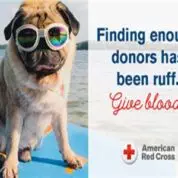 PUMC to Host Blood Drive (10/12/23)